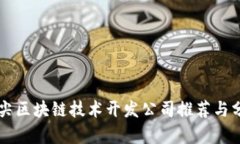 顶尖区块链技术开发公司