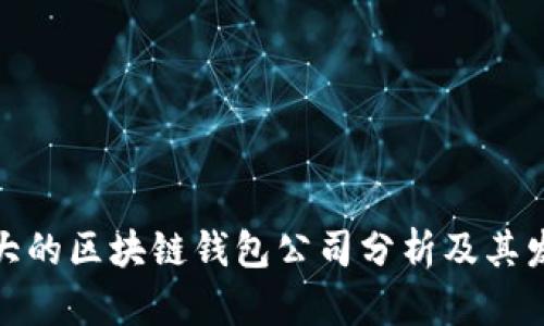 全球最大的区块链钱包公司分析及其发展趋势