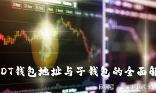 USDT钱包地址与子钱包的全面解析