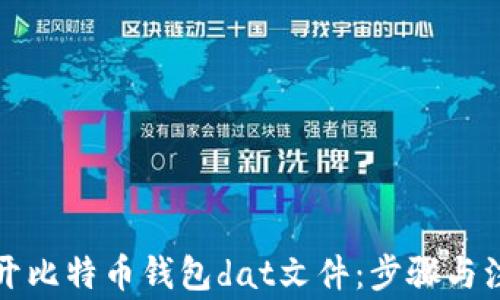 
如何打开比特币钱包dat文件：步骤与注意事项