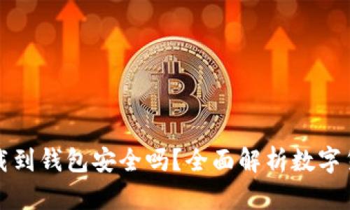 比特币下载到钱包安全吗？全面解析数字货币安全性