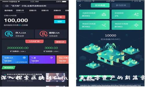 深入探索区块链Chia：未来数字资产的新篇章