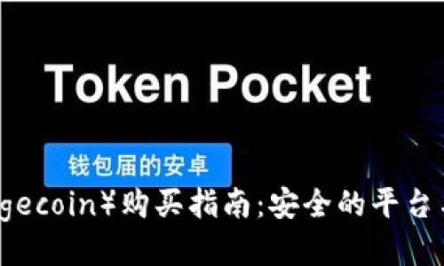 狗狗币（Dogecoin）购买指南：安全的平台与交易技巧