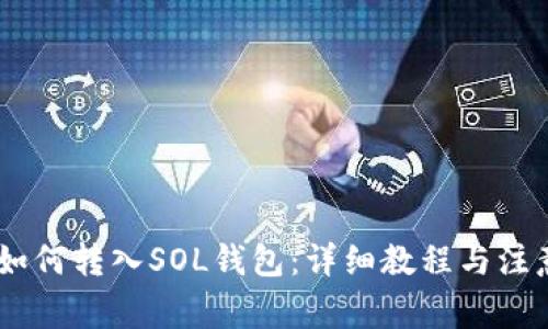 USDT如何转入SOL钱包：详细教程与注意事项