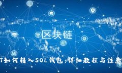 USDT如何转入SOL钱包：详细