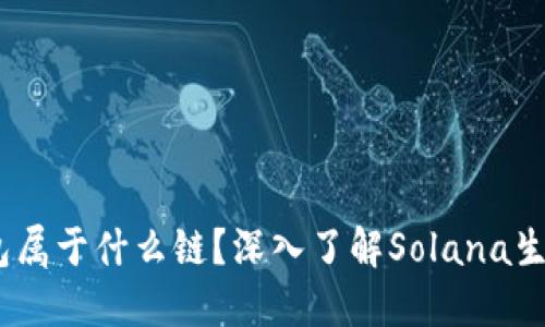 Sol钱包属于什么链？深入了解Solana生态系统