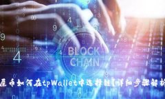 屎币如何在tpWallet中选择链