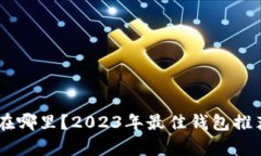 SHIB代币存在哪里？2023年最