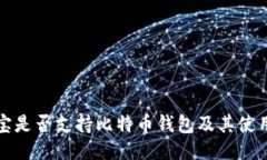 支付宝是否支持比特币钱