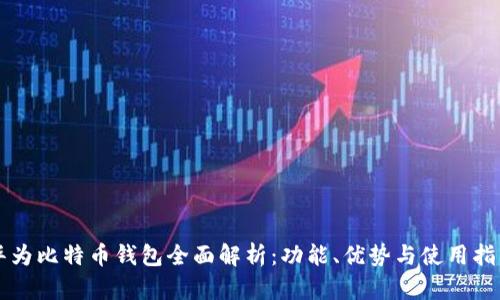 华为比特币钱包全面解析：功能、优势与使用指南